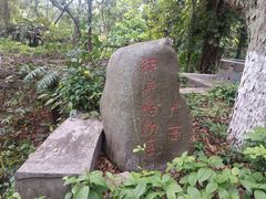 -广西壮族自治区药用植物园
