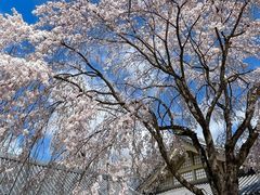 -醍醐寺