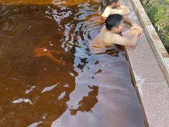 -天目湖涵田半山温泉