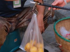 -羊楼洞