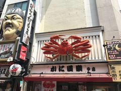 -蟹道乐(道顿堀本店)