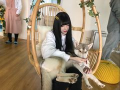 -Husky Go! 哈士奇体验馆·宠物咖啡厅狗咖