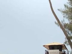 -槟城街头艺术街区