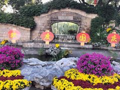 -团结湖公园