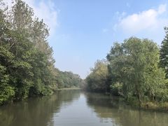 -溱湖国家湿地公园