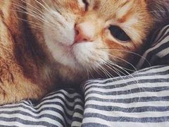 -三利音·浦之舟(滨江大道店)