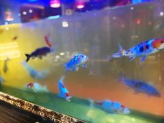 -潮辣重庆火锅(二七万达店)