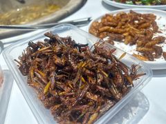 -七采菌园·野生菌石锅鱼(环城北路店)