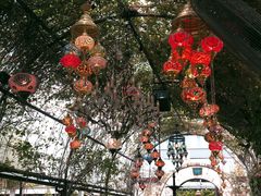 -The Grounds of Alexandria