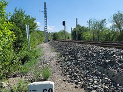 -白水寺森林公园