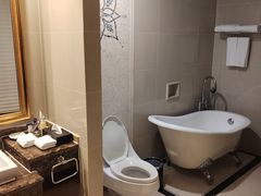 -圣爵菲斯大酒店(长沙世界之窗店)