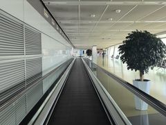 -郑州新郑国际机场-T2航站楼