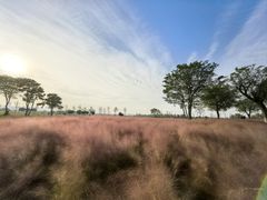 -汉长安城未央宫国家考古遗址公园