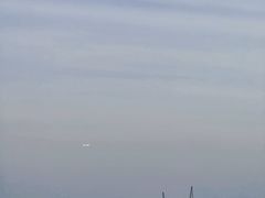-贡湖湾湿地公园