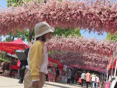 -南汇桃花村