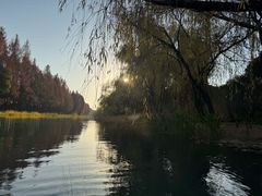 -尚贤河湿地