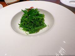 玉琅玕-觀芷隐轩