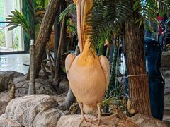 -海合安武汉极地海洋公园