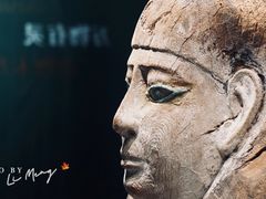 -遇见博物馆(遇见海洋沉浸式奇幻光影展)