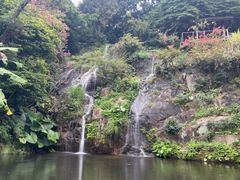 -青青世界