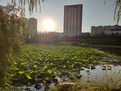 -青城公园
