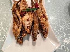 -亢龙太子酒轩·花园店