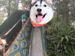 -成飞公园