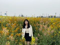 -中国天府农业博览园