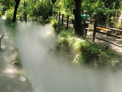 -云丘山景区