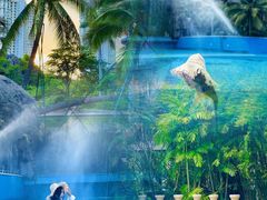 -亚马逊丛林水乐园