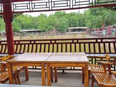 -亲兄弟真人CS团建拓展基地