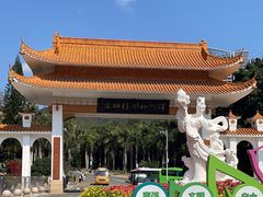 -深圳仙湖植物园