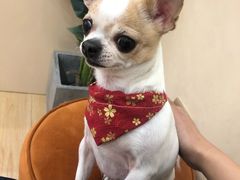 -海马体照相馆(成都来福士广场店)