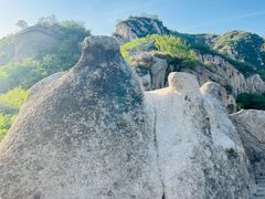 -大岭沟猕猴桃谷风景区