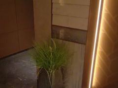 -艺水间水汇