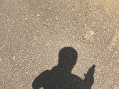 -松山湖梦幻百花洲