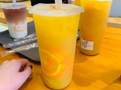 -啵啵喵·猫咖(攀华国际店)