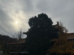 -南京市江宁方山