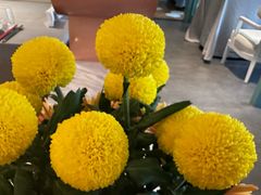 -南堂馆·新川菜(春熙路店)