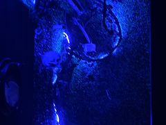 -樊笼真人密室逃脱(江南西店)