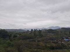 -石岐乳鸽村(南海第三分店)