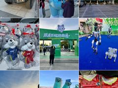 -中南南通体育会展中心