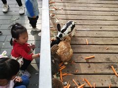 -北京鹿世界主题园