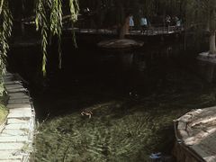 -水磨沟公园