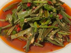 凉拌贡菜-匠心牛公馆·潮汕牛肉海鲜火锅(索菲特店)