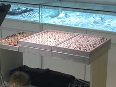 -臻美视爵眼镜·明月·依视路·蔡司折扣店(广渠门店)