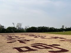 -汉长安城未央宫国家考古遗址公园