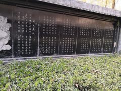 -东方巨龟苑景区