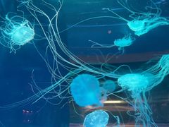 -常州海昌海洋探索馆