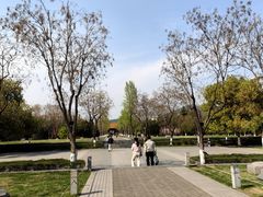 -明故宫遗址公园